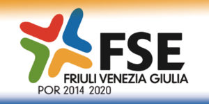 FSE Friuli Venezia Giulia